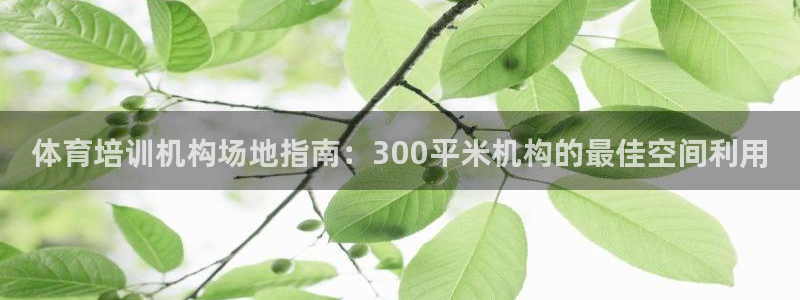 尊龙凯时城游戏官网：体育培训机构场地指南：300平米