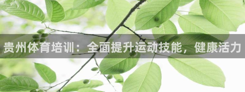 百度一下尊龙：贵州体育培训：全面提升运动技能，健康活