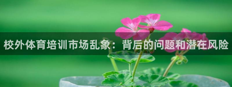 尊龙凯时官网版登录：校外体育培训市场乱象：背后的问题