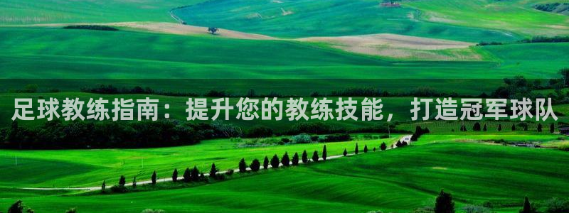 尊龙最近一次露面：足球教练指南：提升您的教练技能，打