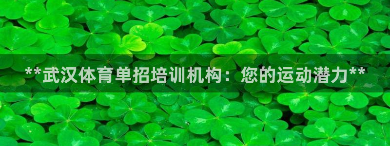 尊龙凯时平台入口：**武汉体育单招培训机构：您的运动