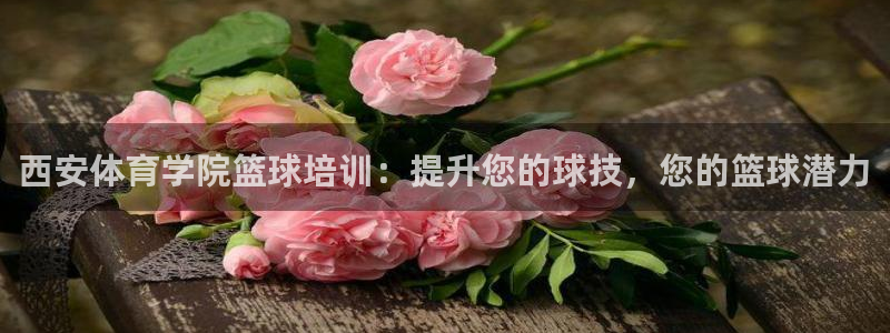 尊龙人生就是博旧