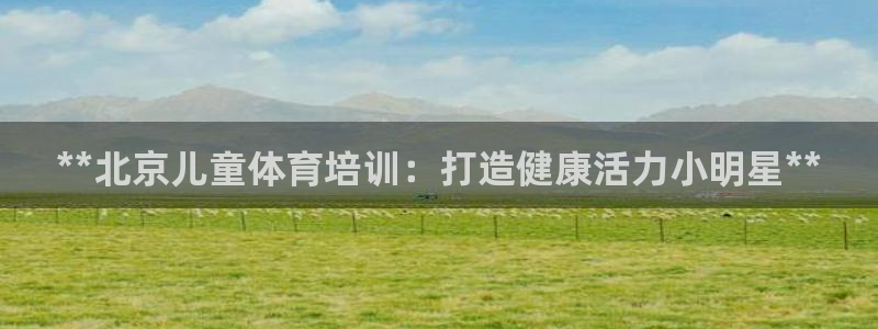 尊龙旗舰app