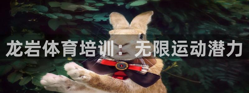凯时网上官方网站