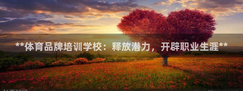 尊龙凯时网站怎么样