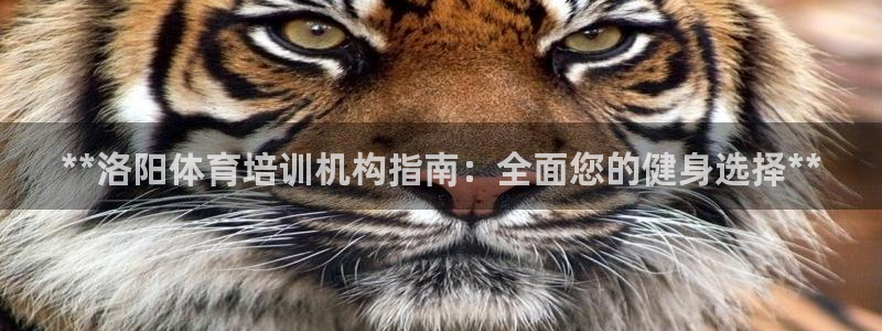 尊龙旗舰厅