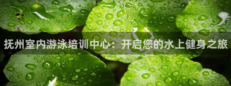 尊龙凯时平台信誉怎样