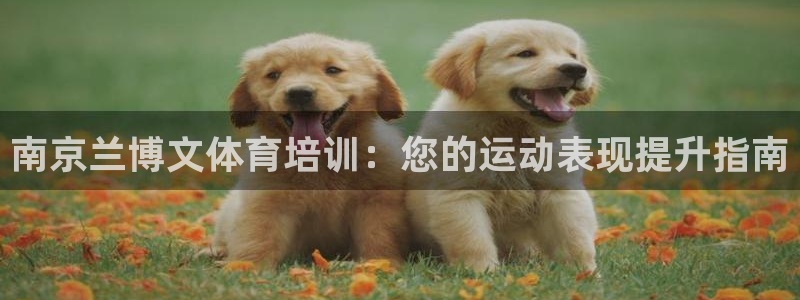 尊龙ag旗舰厅登录 租车app下载