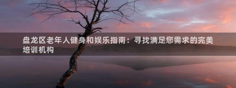 尊龙体育电竞官网
