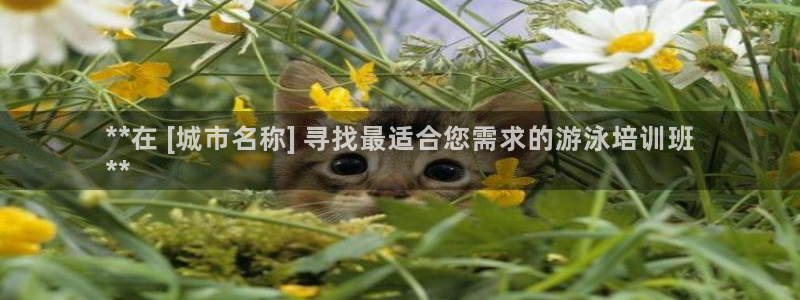 尊龙体育电竞官网