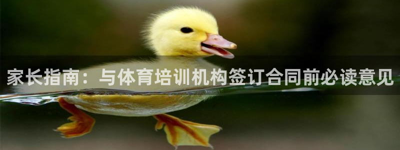 尊龙人生就是博电脑版