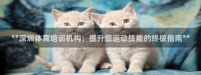 尊龙凯时注册入口
