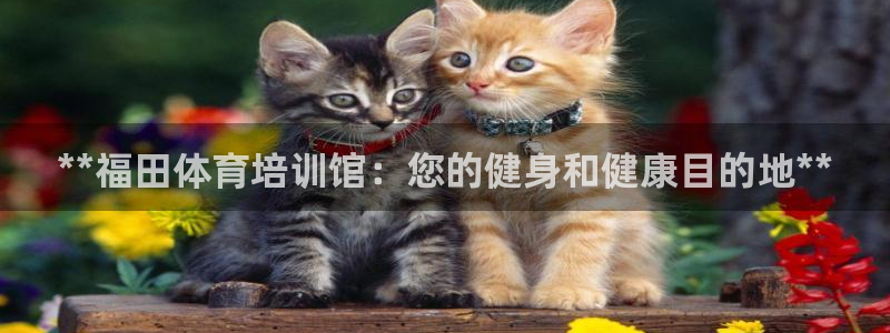 尊龙凯时电竞