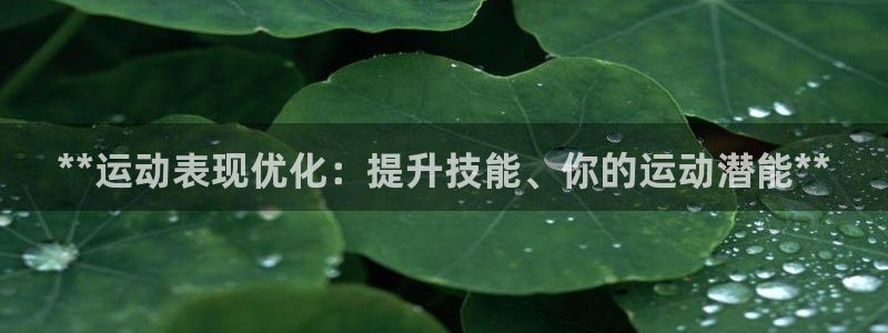 凯时ag旗舰厅网址是什么