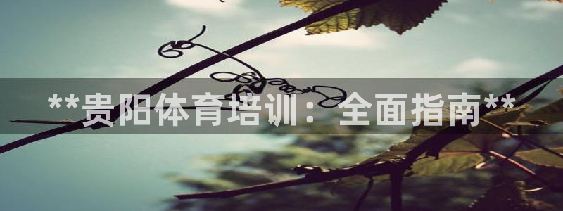 凯时尊龙app国际官方网站：**贵阳体育培训：全面指