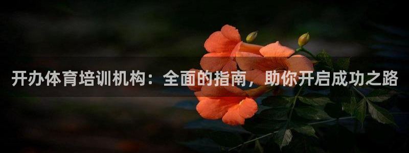 尊龙官网APP下载：开办体育培训机构：全面的指南，助