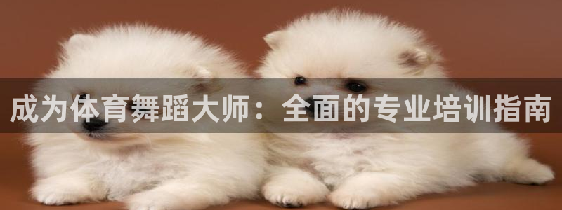 尊龙一人生就是博电子游戏：成为体育舞蹈大师：全面的专