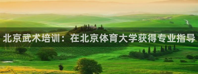 尊龙凯时 人生就是搏客服：北京武术培训：在北京体育大