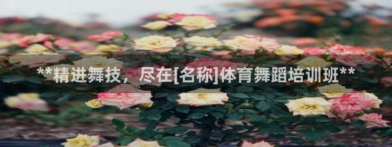 有人在凯时赢过钱吗：**精进舞技，尽在[名称]体育舞