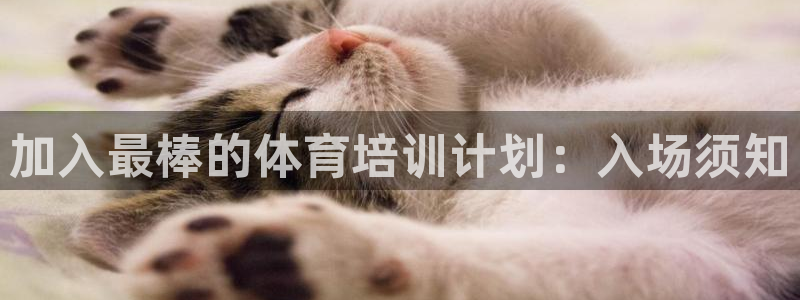 尊龙凯时 人生就是搏!：加入最棒的体育培训计划：入场