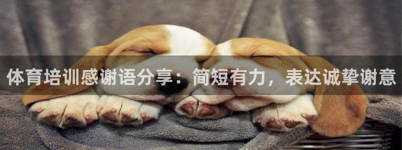 尊龙官网/首选kpm：体育培训感谢语分享：简短有力，