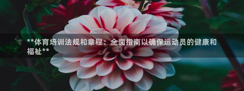 尊龙凯时官网：**体育培训法规和章程：全面指南以确保
