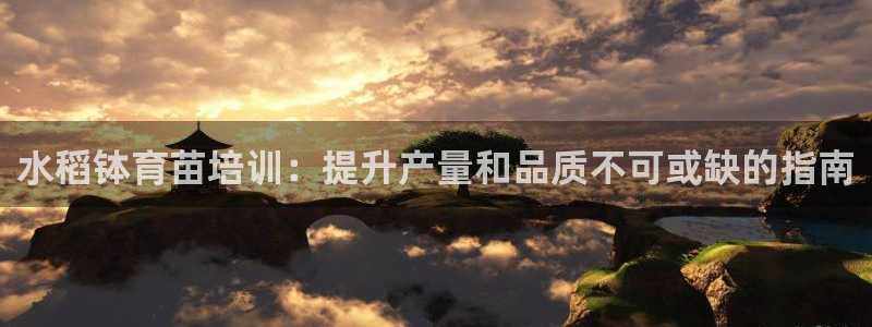 尊龙官网手机版：水稻钵育苗培训：提升产量和品质不可或