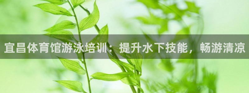 d88尊龙官网手机app：宜昌体育馆游泳培训：提升水
