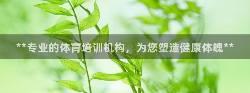 尊龙科技：**专业的体育培训机构，为您塑造健康体魄*