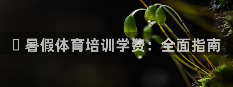 凯时kb88公司简介：✅ 暑假体育培训学费：全面指南