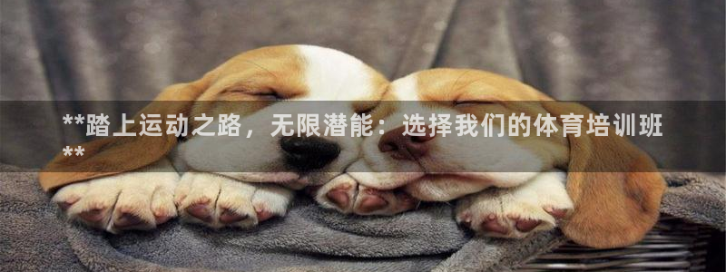 尊龙手机版：**踏上运动之路，无限潜能：选择我们的体