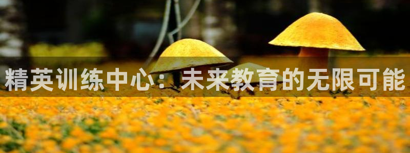 尊龙凯时人生就是博·(中国)