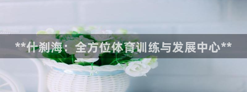 尊龙王t400：**什刹海：全方位体育训练与发展中心**
