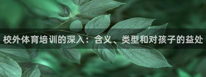 d88尊龙官网登录免费下载：校外体育培训的深入：含义