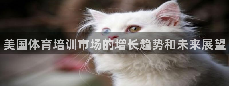 尊龙网站登录：美国体育培训市场的增长趋势和未来展望