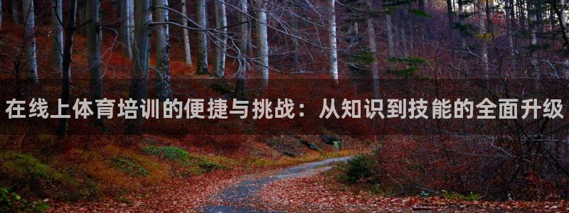 尊龙凯时防屏蔽网址：在线上体育培训的便捷与挑战：从知识到技能