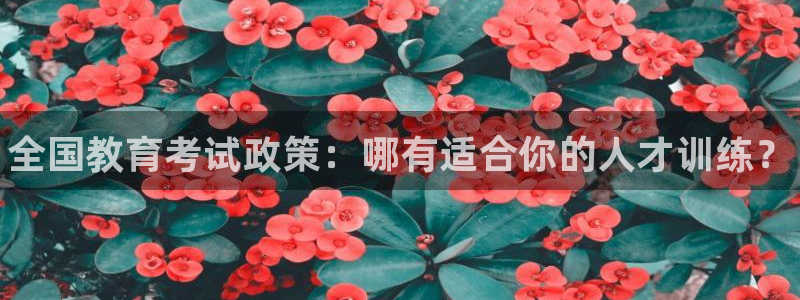 尊龙凯时ag旗舰：全国教育考试政策：哪有适合你的人才训练？