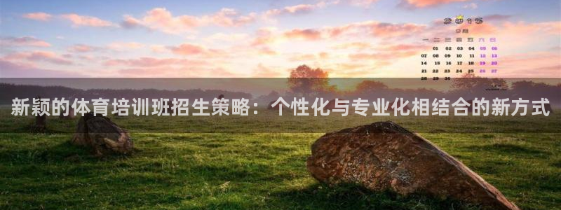 尊龙凯时有假么：新颖的体育培训班招生策略：个性化与专