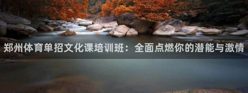 尊龙凯时 人生就是搏!：郑州体育单招文化课培训班：全