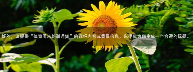 尊龙官网入口：好的，请提供“体育周末培训通知”的详细
