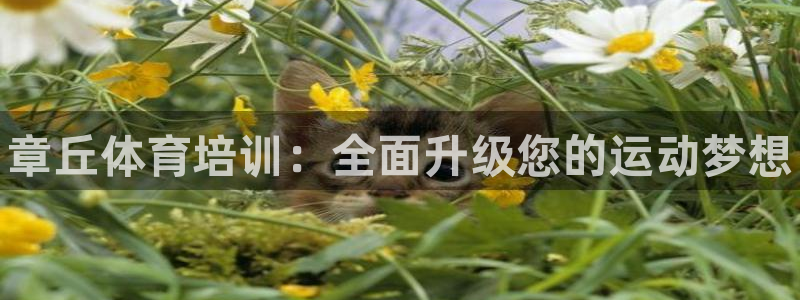 尊龙app最新版本官网：章丘体育培训：全面升级您的运