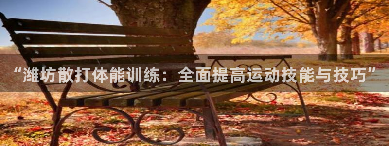 尊龙网站人生就是博：“潍坊散打体能训练：全面提高运动