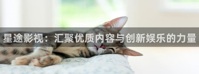 播播 影院：星途影视：汇聚优质内容与创新娱乐的力量