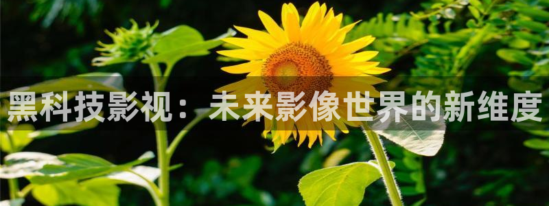 优播播放器下载：黑科技影视：未来影像世界的新维度