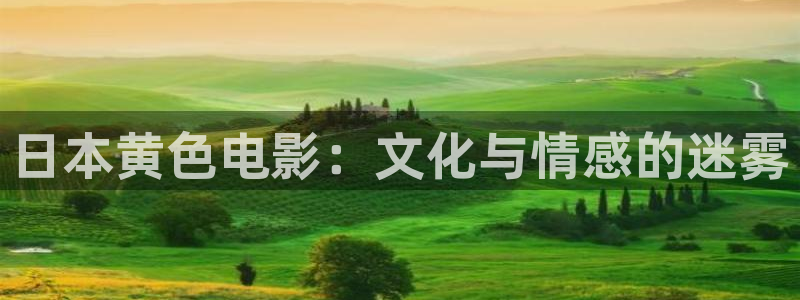 神马影院播播影院：日本黄色电影：文化与情感的迷雾