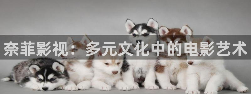 播播影院性播：奈菲影视：多元文化中的电影艺术