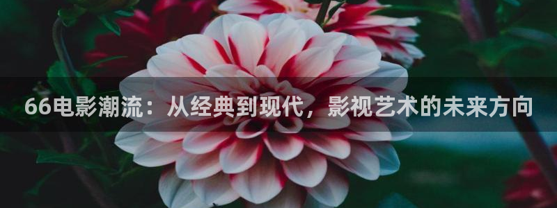 播播影院色播影院私人影院：66电影潮流：从经典到现代，影视艺术的未来方向
