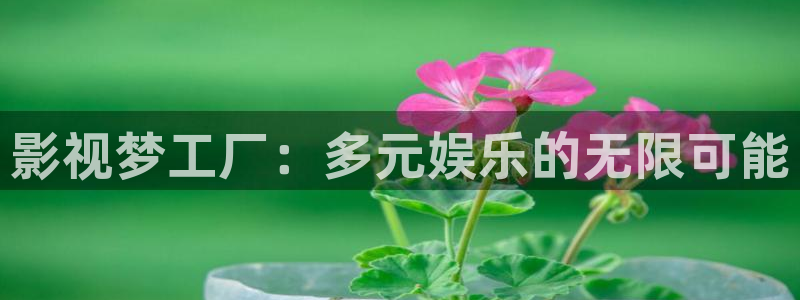 播播影院网址：影视梦工厂：多元娱乐的无限可能