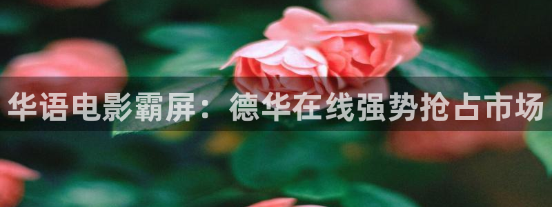 播播影院性：华语电影霸屏：德华在线强势抢占市场
