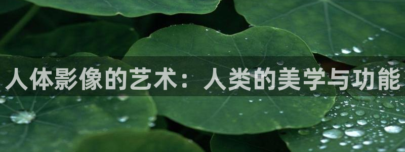 播播在线电影：人体影像的艺术：人类的美学与功能